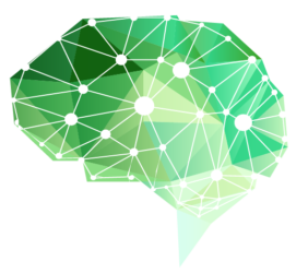 Brain